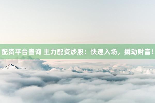 配资平台查询 主力配资炒股：快速入场，撬动财富！