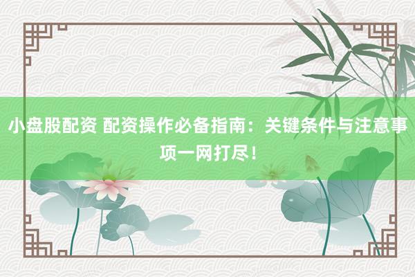 小盘股配资 配资操作必备指南：关键条件与注意事项一网打尽！