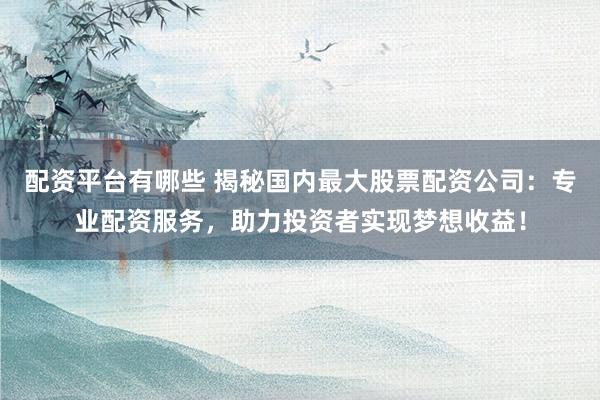配资平台有哪些 揭秘国内最大股票配资公司：专业配资服务，助力投资者实现梦想收益！