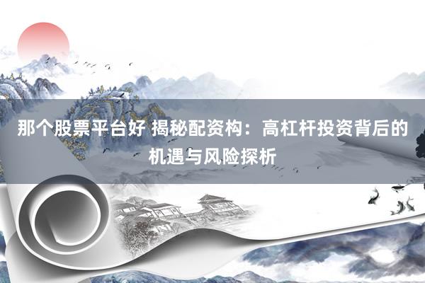那个股票平台好 揭秘配资构：高杠杆投资背后的机遇与风险探析