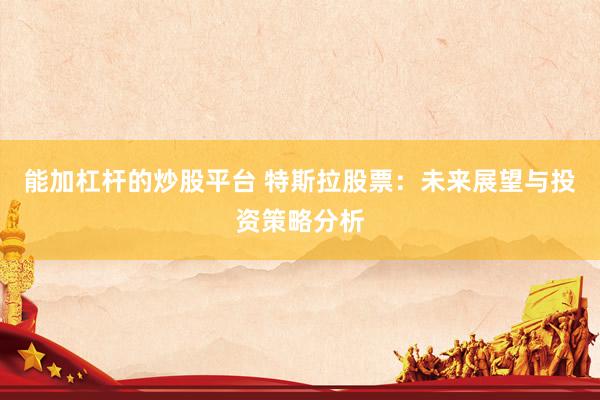 能加杠杆的炒股平台 特斯拉股票：未来展望与投资策略分析