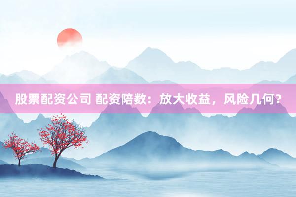 股票配资公司 配资陪数：放大收益，风险几何？