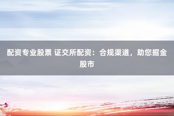 配资专业股票 证交所配资：合规渠道，助您掘金股市