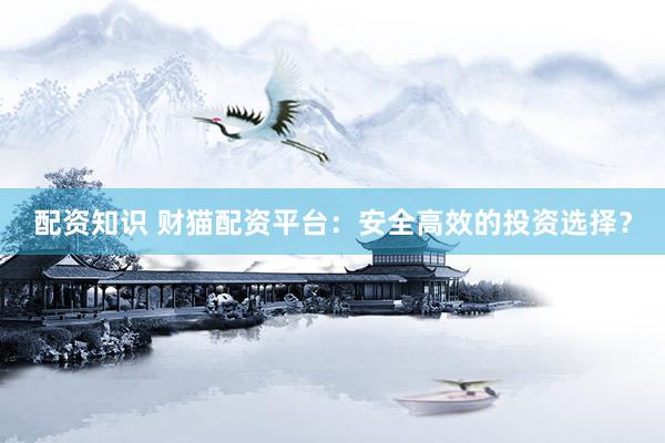 配资知识 财猫配资平台：安全高效的投资选择？