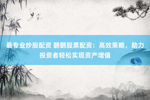 最专业炒股配资 翻翻股票配资：高效策略，助力投资者轻松实现资产增值