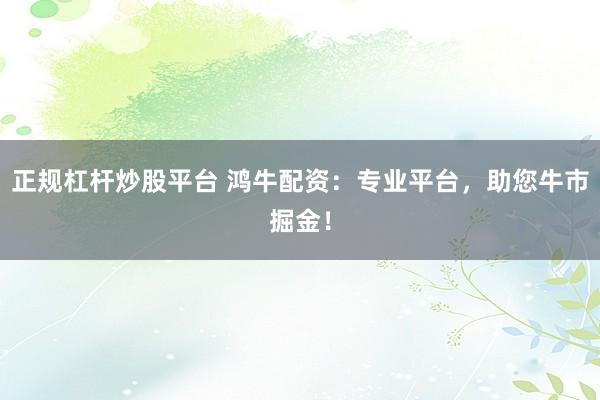 正规杠杆炒股平台 鸿牛配资：专业平台，助您牛市掘金！