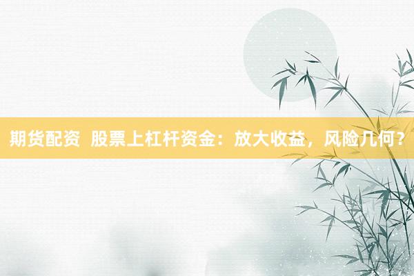 期货配资  股票上杠杆资金:放大收益,风险几何?