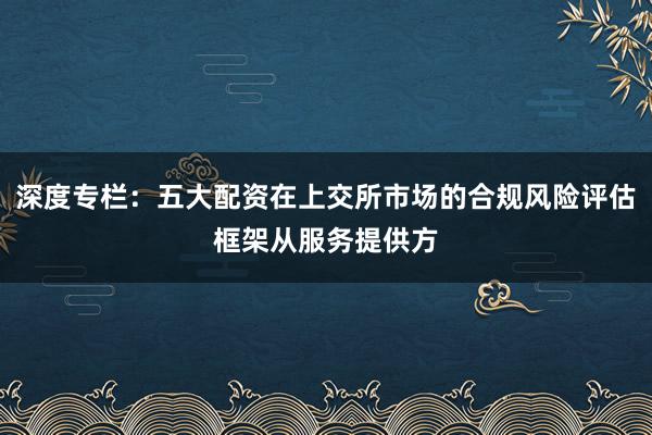 深度专栏：五大配资在上交所市场的合规风险评估框架从服务提供方