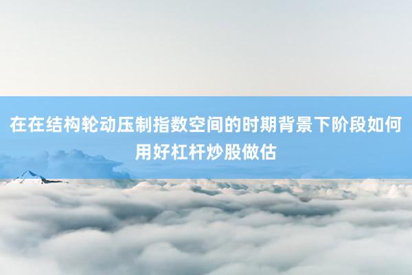 在在结构轮动压制指数空间的时期背景下阶段如何用好杠杆炒股做估