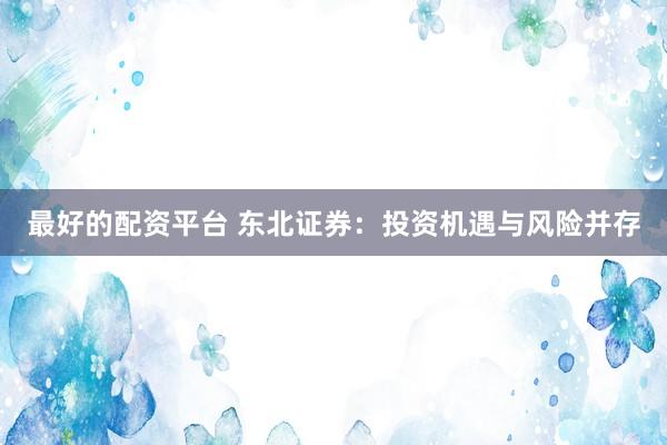 最好的配资平台 东北证券:投资机遇与风险并存